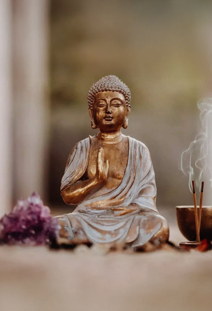 VIBECHEMY™ Sacred Smoke Incense